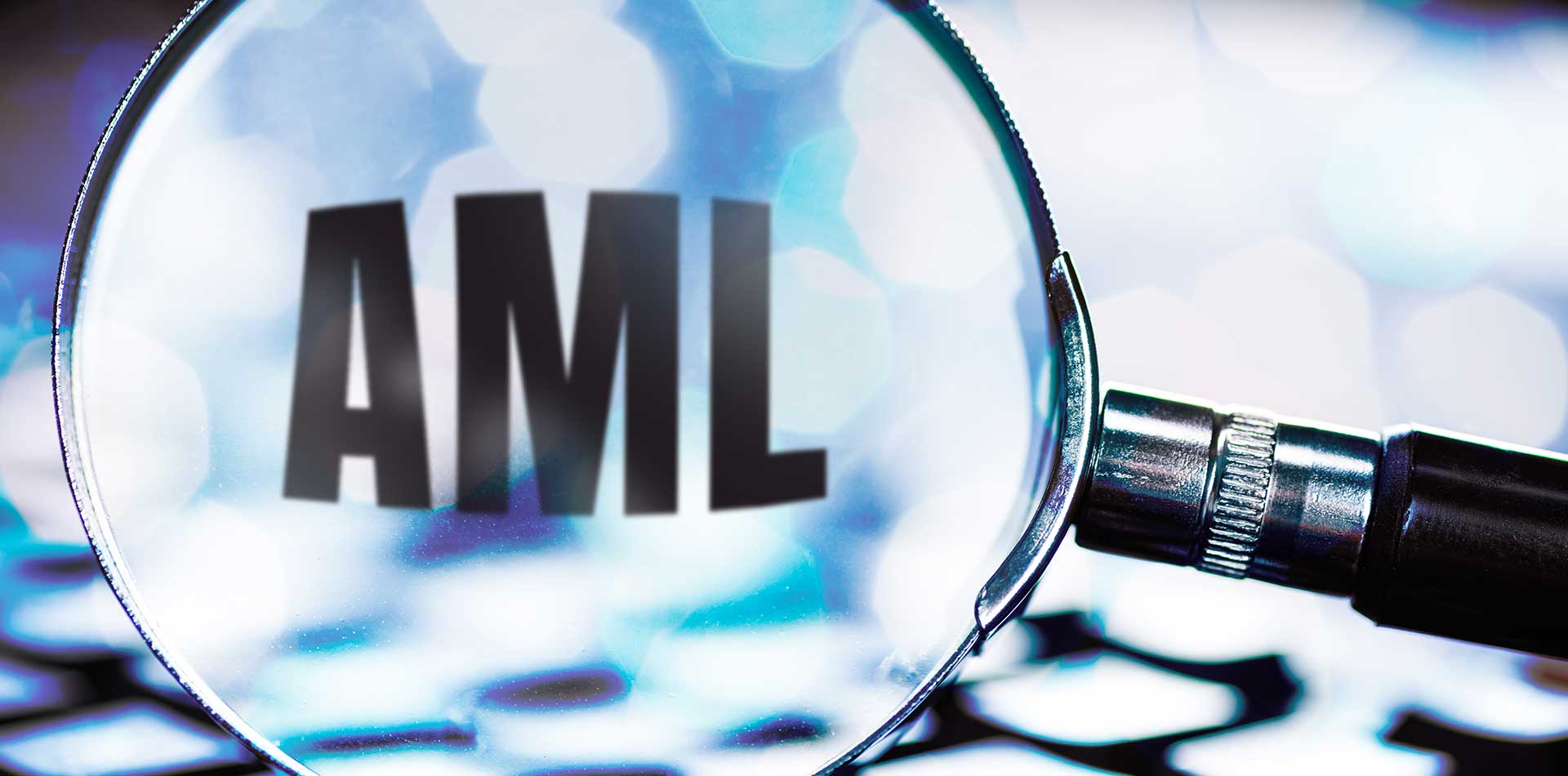 $300B Investment Firm Achieves AML Compliance Review in Record Time With LegalEase